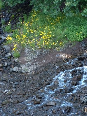 ...  while others took pretty pictures.